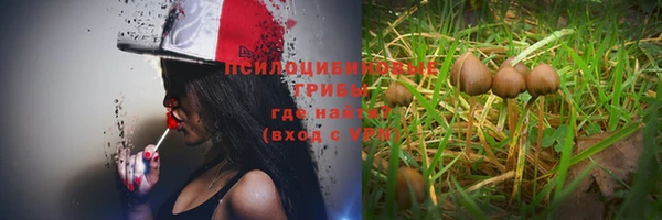 каннабис Заводоуковск