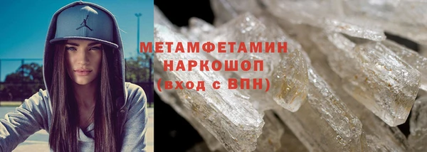 гидра Елизово