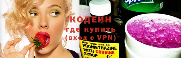 гидра Елизово