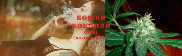 СК Елабуга