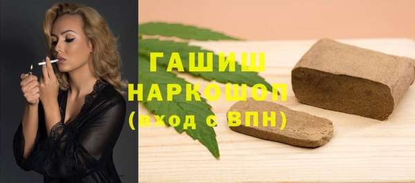 гидра Елизово