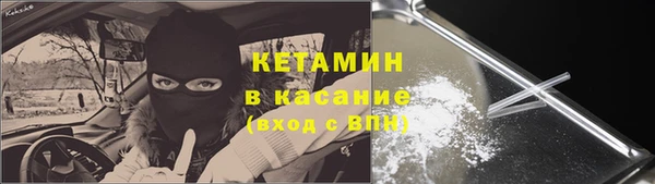 гидра Елизово