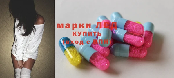 эйфоретик Ельня