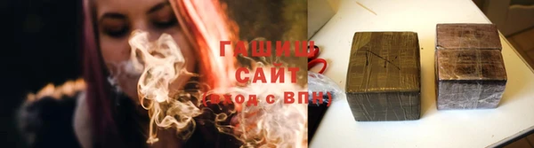 гидра Елизово