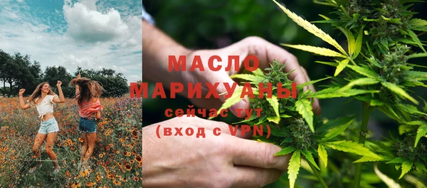 эйфоретик Ельня