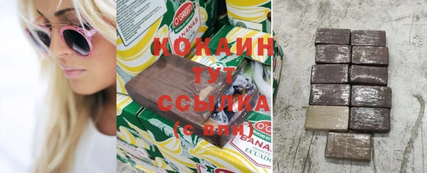 эйфоретик Ельня