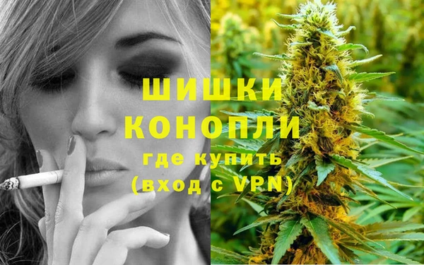 СК Елабуга