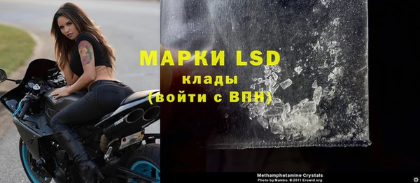 эйфоретик Ельня