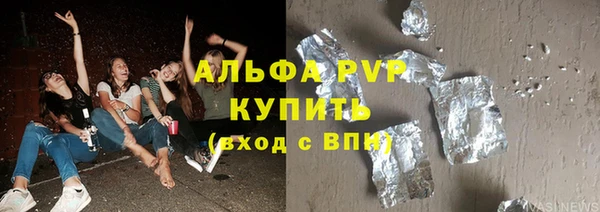 гидра Елизово