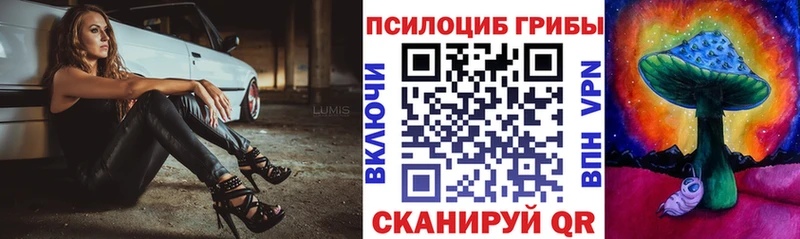 Купить закладки  Харабали  Псилоцибиновые грибы Psilocybe 